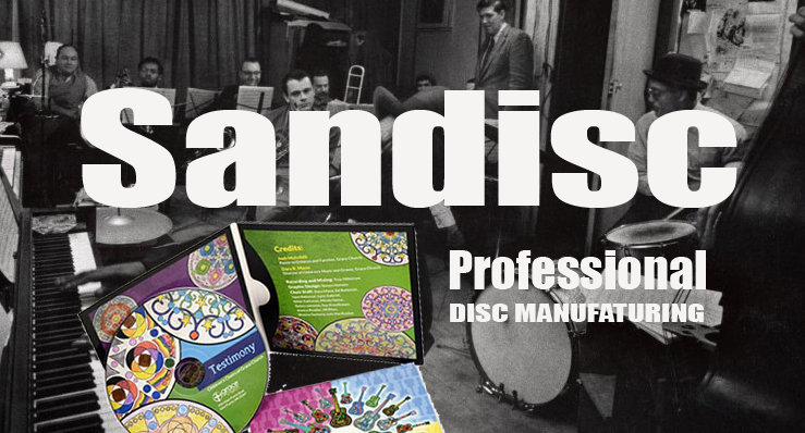 sandisc1